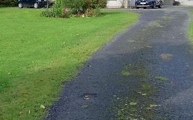 Large Family Home In Wexford Marys B&B